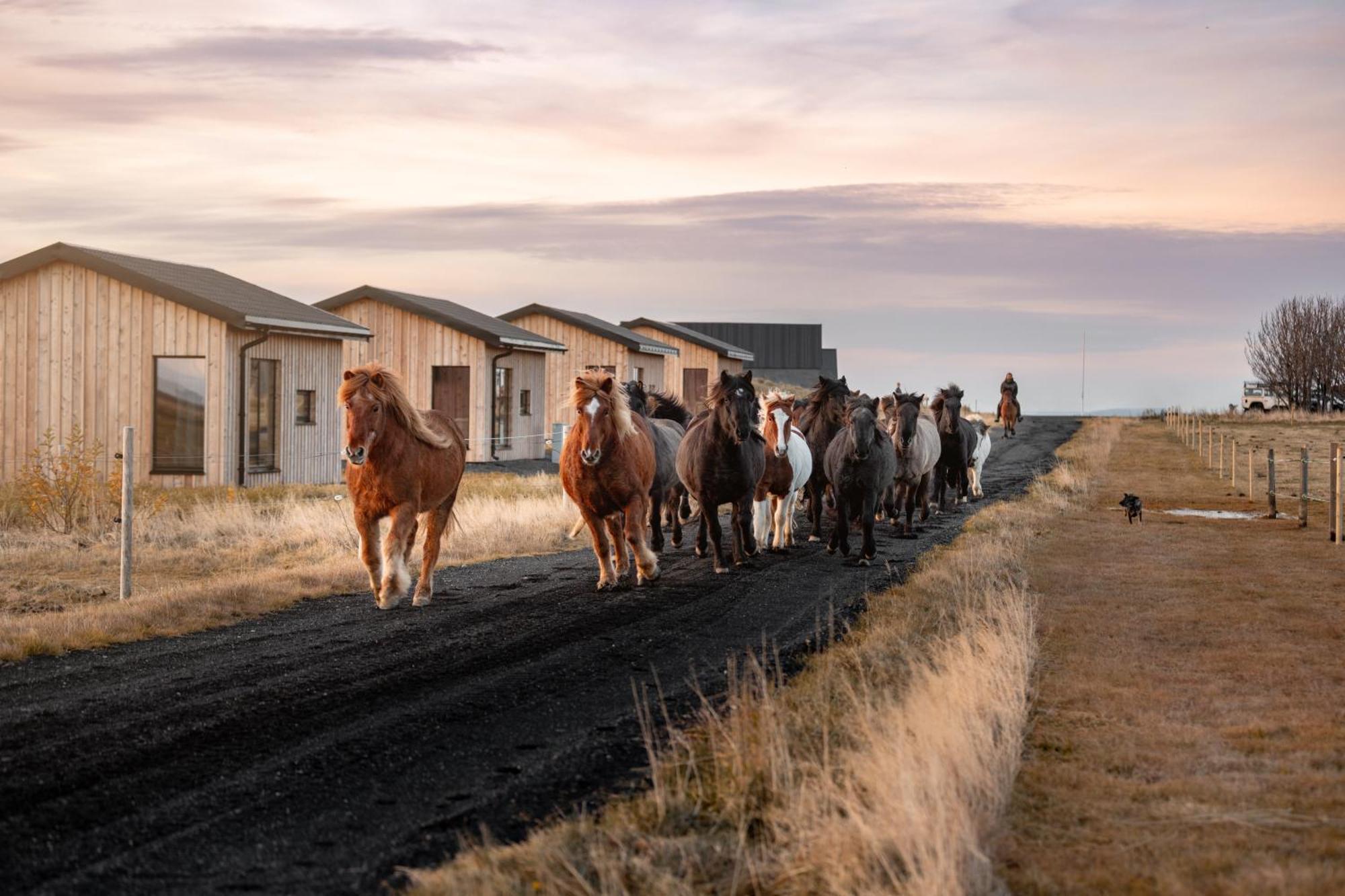 Sleeping With The Horses Apartment Hvolsvollur Exterior photo